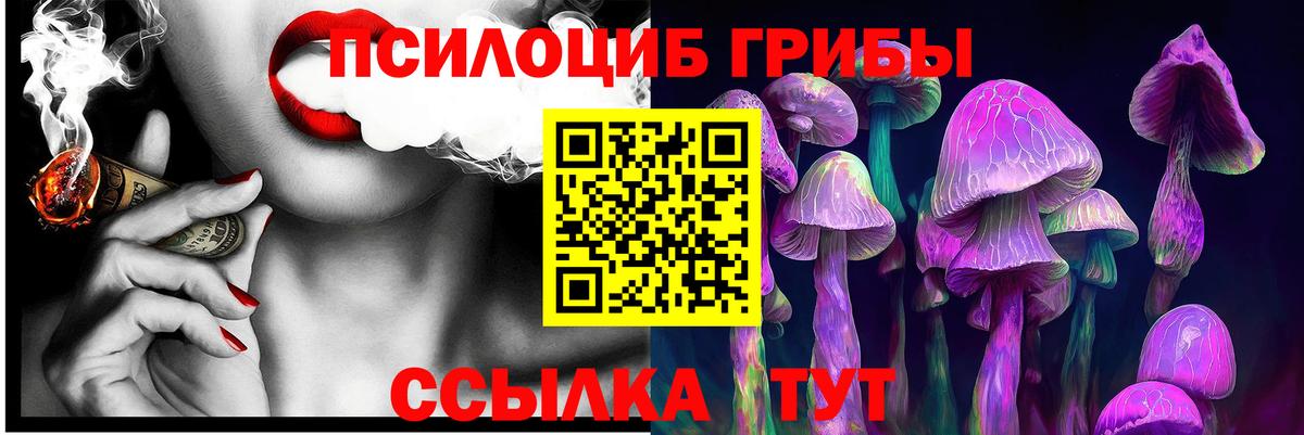 хочу наркоту  Вход с VPN  Губаха  Псилоцибиновые грибы Psilocybine cubensis 
